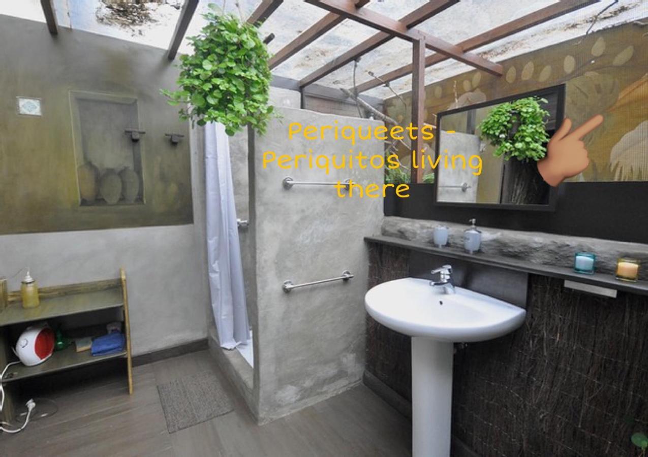 Studio Mazo The Glamping Lodero Dış mekan fotoğraf