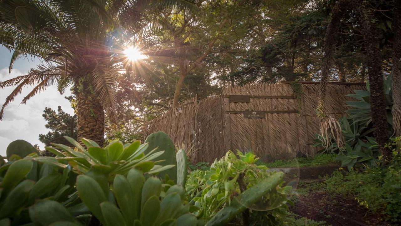 Studio Mazo The Glamping Lodero Dış mekan fotoğraf